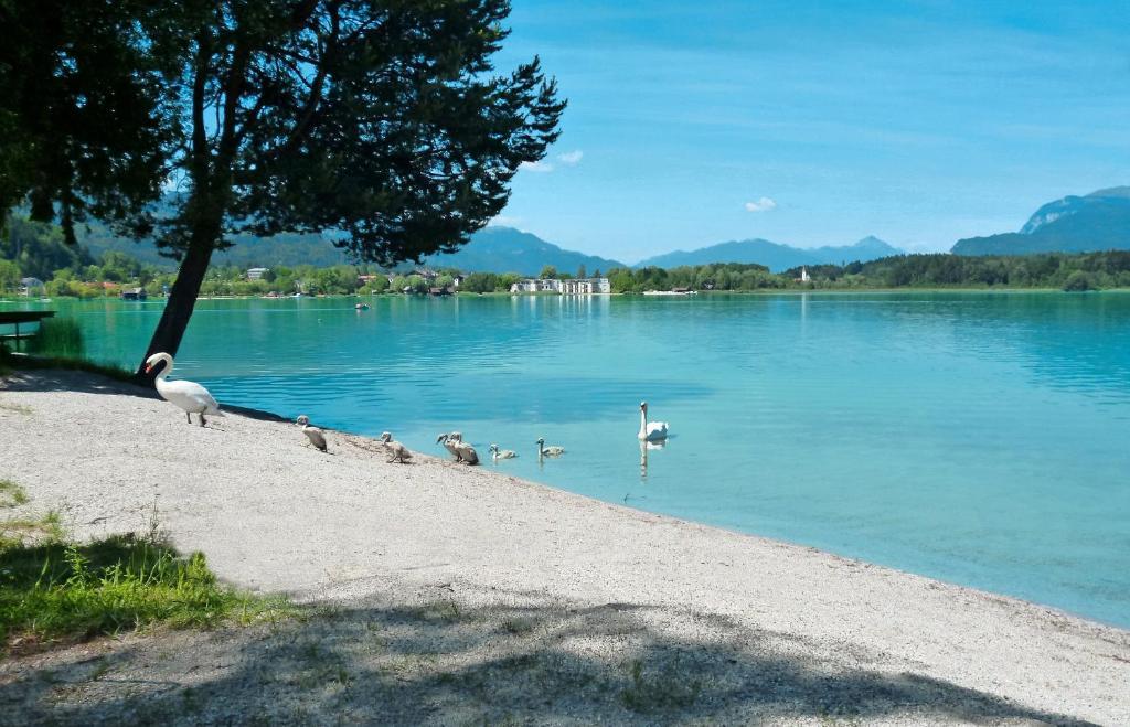 Pension Stissen Haus Am See Faak am See Ngoại thất bức ảnh